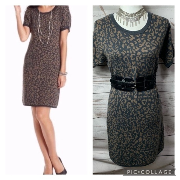 Loft Leopard Print Short Sleeve Sweater Dress - Picture 1 of 8